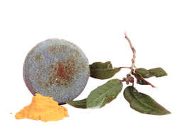 [FOR135] Champú sólido para evitar la aparición de la caspa -  ÒNIX (70gr)